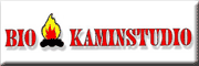 Biokaminstudio K�pke Itzstedt