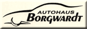 Autohaus Borgwardt <br>Lutz-Peter Borgwardt Brunsbüttel