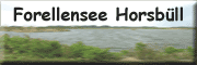 Forellensee Horsb�ll - Karl-Christian Springer Emmelsb�ll-Horsb�ll