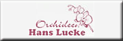 Orchideen Lucke - Jörg Frehsonke Neukirchen-Vluyn