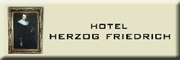 Hotel Herzog Friedrich Friedrichstadt