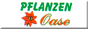 Pflanzen Oase - Karsten Sommer Kölln-Reisiek