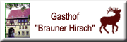 Brauner Hirsch - Harald Wanger Calbe