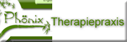 Phönix-Die Therapiepraxis UG - torsten Frey 