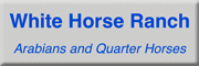 White Horse Ranch<br>Brenda Esfeld Wilsdruff White Horse Ranch<br>Brenda Esfeld Wilsdruff