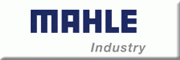 MAHLE Behr Industry Reichenbach GmbH<br>Michael Rudloff Reichenbach im Vogtland