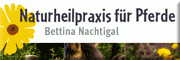 Naturheilpraxis für Pferde<br>Bettina Nachtigal 