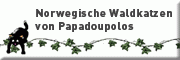 Norwegische Waldkatzen von Papadoupolos<br>Roald Marko Brosig Jübek