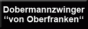 Dobermannzwinger von Oberfranken<br>Tanja Celikbas Marktgraitz