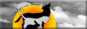 Tierbestattung sunset<br>Mike Friedrich Großpösna