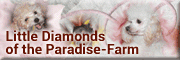 Little Diamonds of the Paradise-Farm<br>Sandra Lorenz 