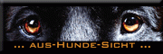 Problemhundtherapie Parucha Hoisdorf Problemhundtherapie Parucha Hoisdorf