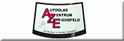 AZE Autoglas-Zentrum-Eichsfeld<br>Mario Dunkel Heilbad Heiligenstadt