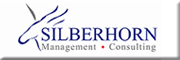 Management Consulting Robert Silberhorn 