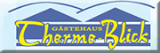 Gästehaus Therme-Blick<br>Michael Osburg Bad Driburg