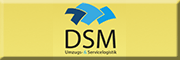 DSM Umzugs- & Servicelogistik<br>Dennis Schultheis 