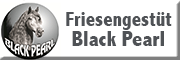 Friesengestüt Black Pearl<br>Ilona Pfreundtner Langenau