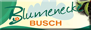 Blumenecke Busch Wernigerode