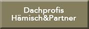 Dachprofis Hämisch & Partner Schauenburg