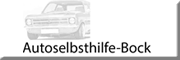 Autoselbsthilfe-Bock 