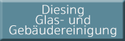 Diesing Glas- und Gebäudereinigung Barsinghausen
