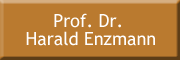 Prof. Dr. Harald Enzmann 