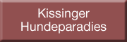 Kissinger Hundeparadies Bad Kissingen