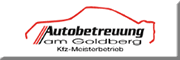Autobetreuung am Goldberg / Bosch Car Service Inh. Dominik Turcic<br>  Böblingen