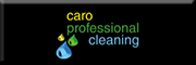 Gebaudereinigung Krawczyk Lucyna
Caro professional cleaning<br>  Sankt Peter-Ording