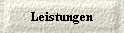  Leistungen 