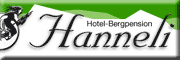 Hotel-Bergpension Hanneli Sankt Andreasberg