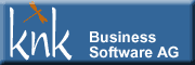 knk Business Software AG 