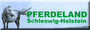 Pferde-SH 