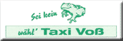 Taxi Voß, Ingo Lewerentz Itzehoe