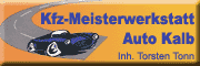 Kfz-Werkstatt Torsten Tonn 