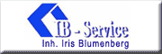 IB - Service Wahlendow