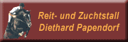 Reitstall Diethard Papendorf Hohenmocker Reitstall Diethard Papendorf Hohenmocker