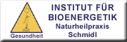 INSTITUT FÜR BIOENERGETIK Naturheilpraxis Schmidl 