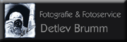 Fotografie & Fotoservice<br>Detlev Brumm Pellworm