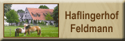 Haflingerhof Feldmann Recke