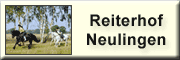 Reiterhof Neulingen - Harriet Stoltenberg Neulingen