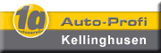 Auto-Profi - Reiner Wendt Kellinghusen