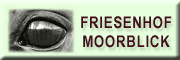 Friesenhof Moorblick - Susanne Fessel Neuschoo