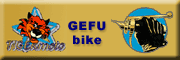 GEFU -bike Gmbh - Henstedt-Ulzburg GEFU -bike Gmbh - Henstedt-Ulzburg