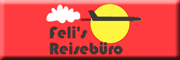 Feli`s Reisebüro - Melanie Stoffel 