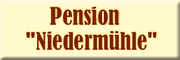 Pension Niedermühle - Günter Käferstein Limbach-Oberfrohna Pension Niedermühle - Günter Käferstein Limbach-Oberfrohna