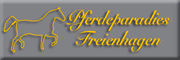 Pferdeparadies Freienhagen - LWB D. Klein Liebenwalde Pferdeparadies Freienhagen - LWB D. Klein Liebenwalde