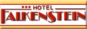 Hotel Falkenstein - Manfred Kittner Falkenstein