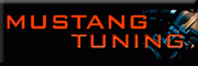 MUCAR Mustang Cars, Parts & Tuning - Jan Zanker MUCAR Mustang Cars, Parts & Tuning - Jan Zanker