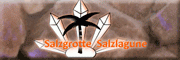 Salzgrotte Salzlagune<br>Lars Löwe 